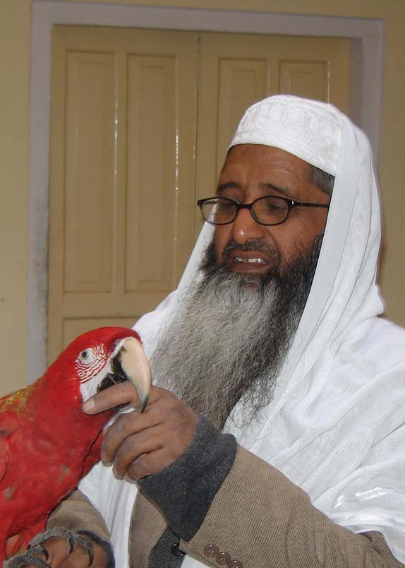 Maulana Mohammed Fazlurahim Mujaddidi Birds Love